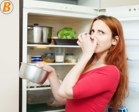Geruch aus Kühlschrank entfernen Hausmittel.